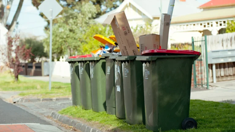 Overflowing household wheelie bins filled with cardboard and recyclable waste lined up along an Australian suburban street.